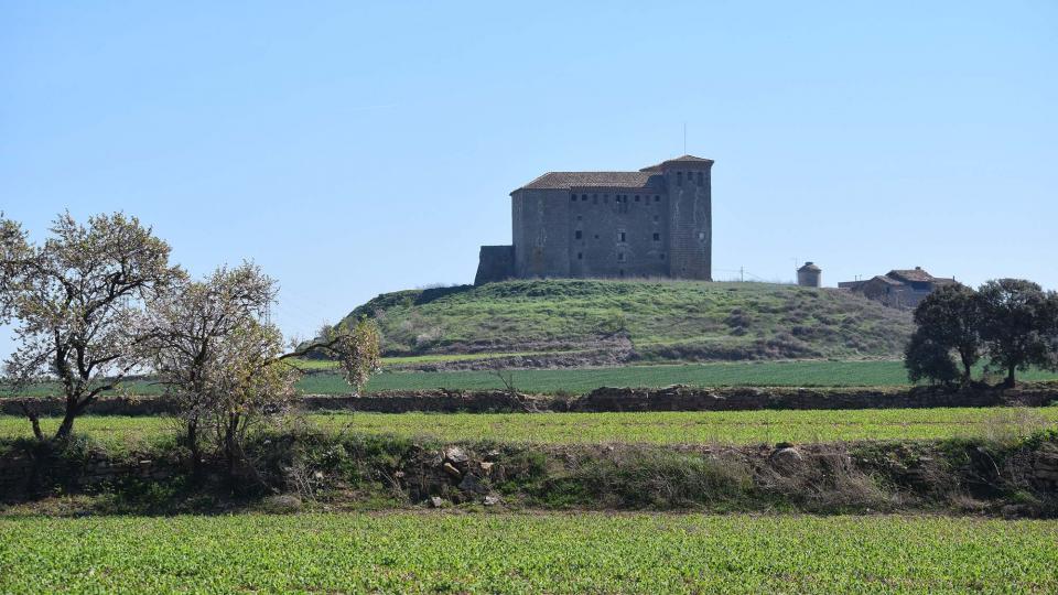 10.3.2019 XX Marxa dels castells  Montcortès de Segarra -  Ramon Sunyer