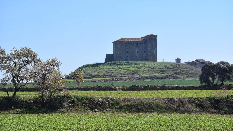 10 de Març de 2019 XX Marxa dels castells  Montcortès de Segarra -  Ramon Sunyer