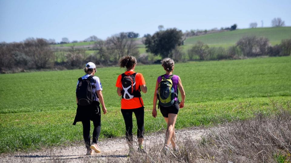 10.3.2019 XX Marxa dels castells  La Cardosa -  Ramon Sunyer