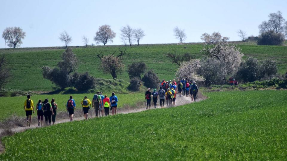 10 de Març de 2019 XX Marxa dels castells  La Cardosa -  Ramon Sunyer