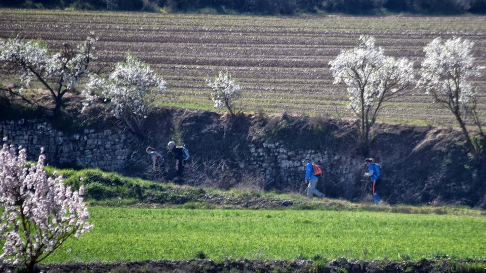 10.3.2019 XX Marxa dels castells  Cervera -  Ramon Sunyer