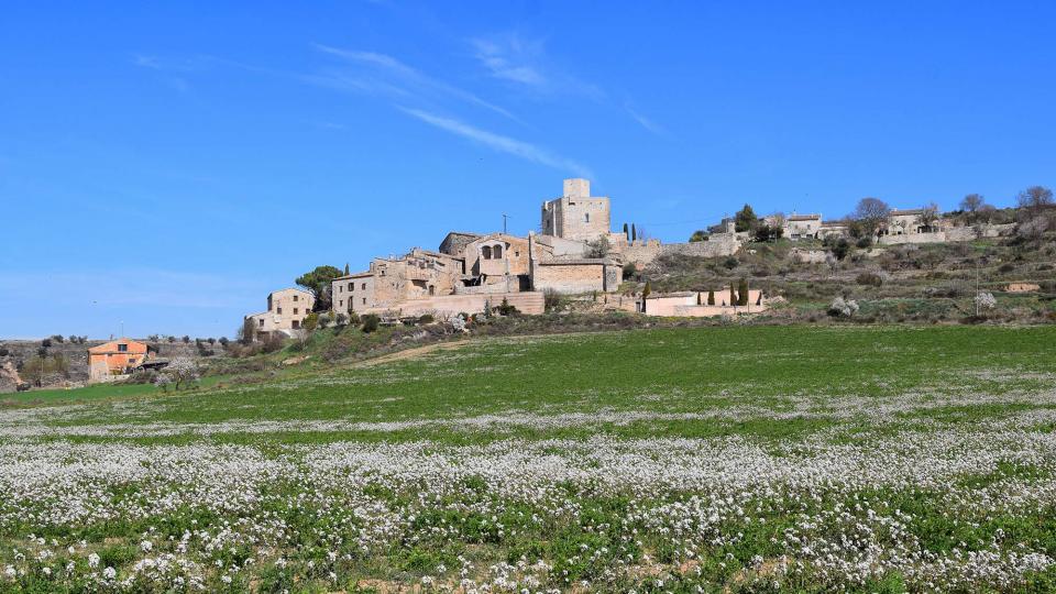 10.3.2019 XX Marxa dels castells  Malgrat -  Ramon Sunyer