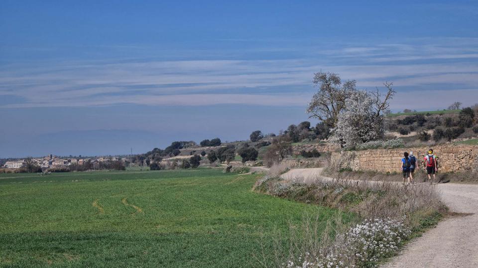 10.3.2019 XX Marxa dels castells  Malgrat -  Ramon Sunyer