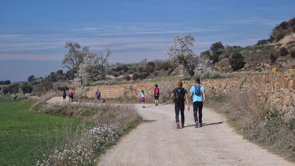 10 de Març de 2019 XX Marxa dels castells  Malgrat -  Ramon Sunyer