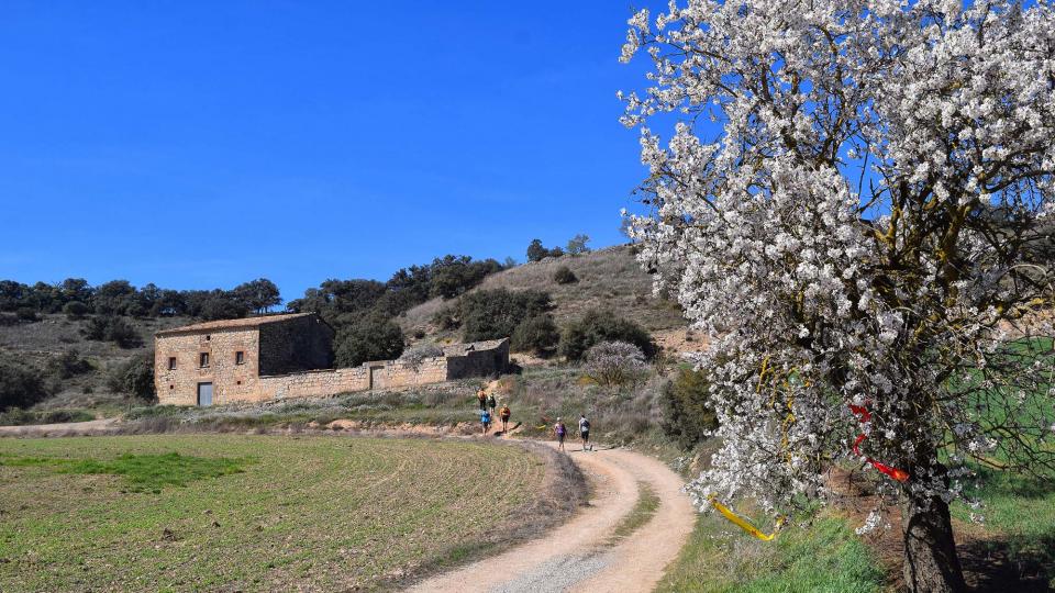 10 de Març de 2019 XX Marxa dels castells  Tudela -  Ramon Sunyer