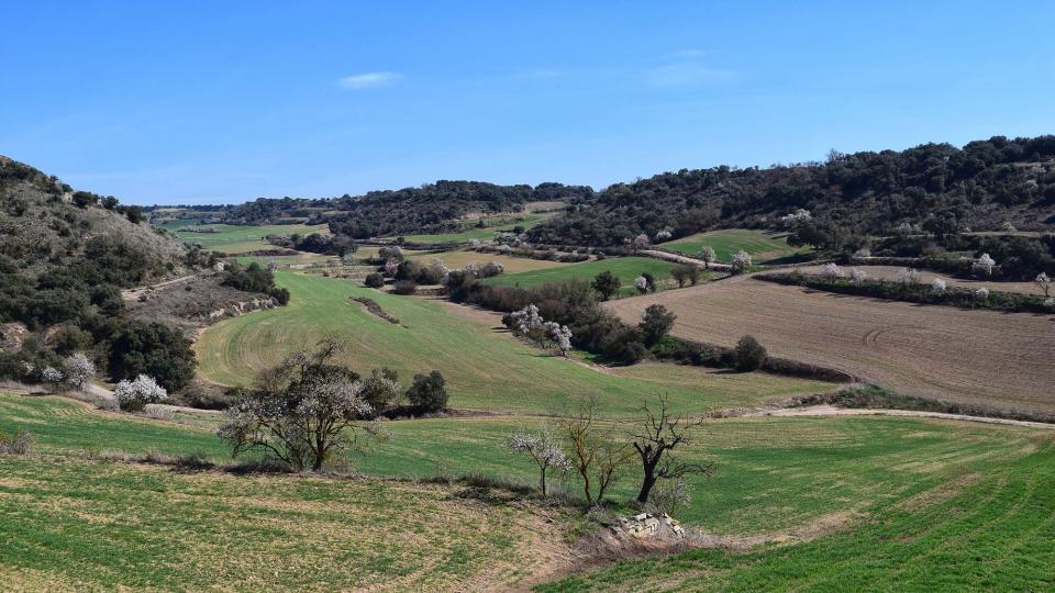 10.3.2019 XX Marxa dels castells  Tudela -  Ramon Sunyer