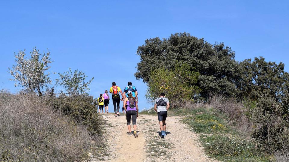 10.3.2019 XX Marxa dels castells  Tudela -  Ramon Sunyer