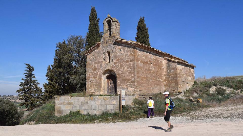 10 de Març de 2019 XX Marxa dels castells  Castellmeià -  Ramon Sunyer