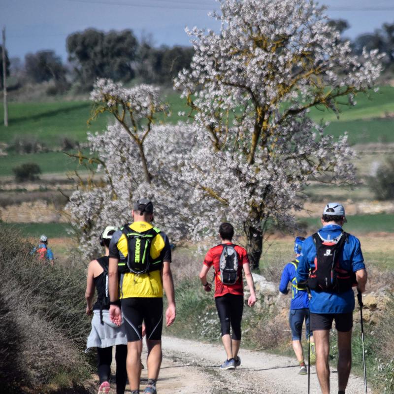 10.3.2019 XX Marxa dels castells  El Llor -  Ramon Sunyer