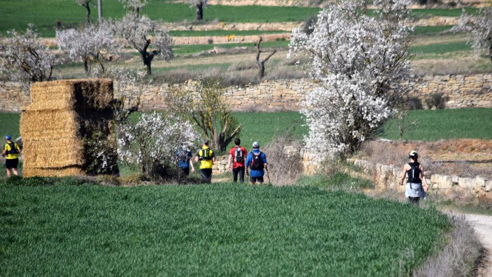 10.3.2019 XX Marxa dels castells  El Llor -  Ramon Sunyer