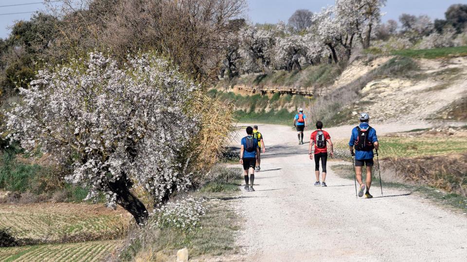 10.3.2019 XX Marxa dels castells  Bellveí -  Ramon Sunyer