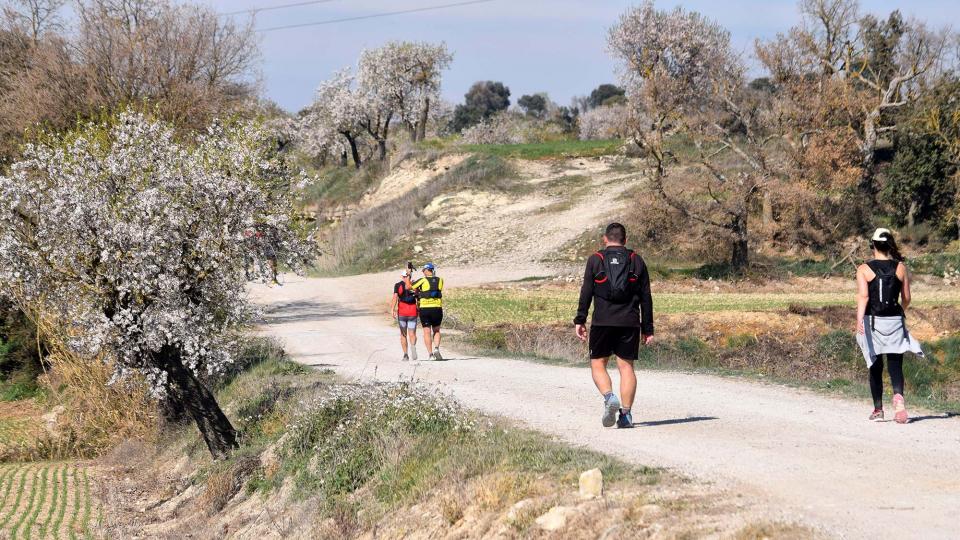 10.3.2019 XX Marxa dels castells  Bellveí -  Ramon Sunyer