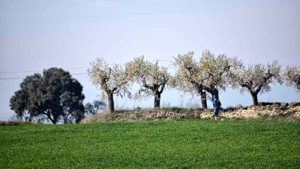 10.3.2019 XX Marxa dels castells  Bellveí -  Ramon Sunyer