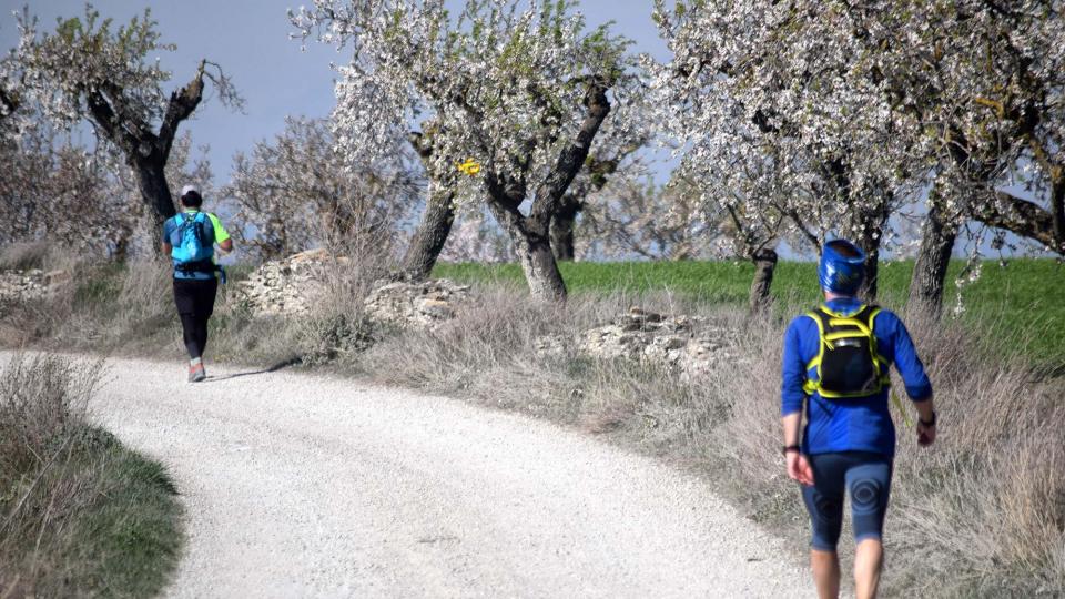 10.3.2019 XX Marxa dels castells  Guissona -  Ramon Sunyer