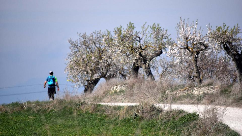 10.3.2019 XX Marxa dels castells  Guissona -  Ramon Sunyer