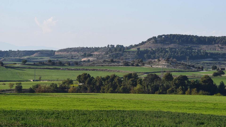 24 de Març de 2019 Paisatge  Briançó -  Ramon Sunyer