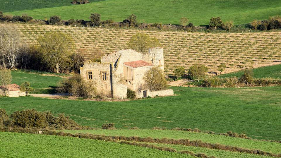 24.3.2019 Paisatge  Fonolleres -  Ramon Sunyer