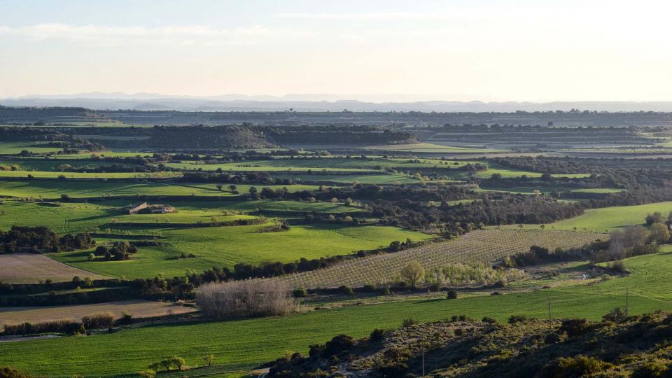 24.3.2019 Paisatge  Fonolleres -  Ramon Sunyer