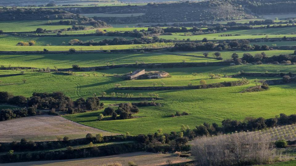 24.3.2019 Paisatge  Fonolleres -  Ramon Sunyer