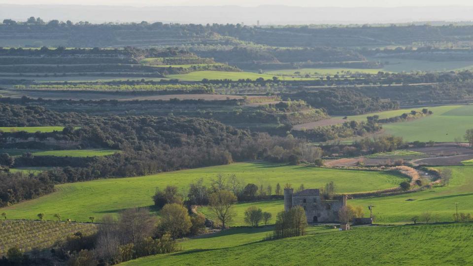 24 de Març de 2019 Paisatge  Fonolleres -  Ramon Sunyer