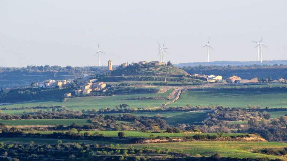 24.3.2019 Paisatge  Granyena de Segarra -  Ramon Sunyer