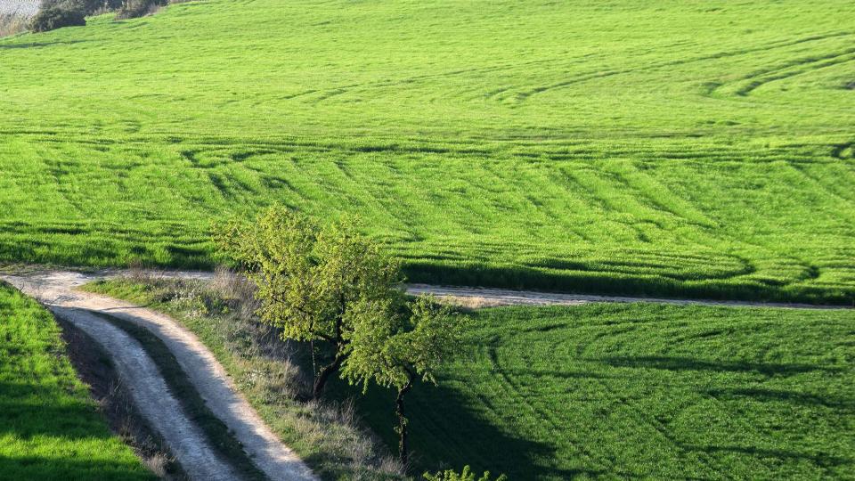 24 de Març de 2019 Paisatge  Tordera -  Ramon Sunyer