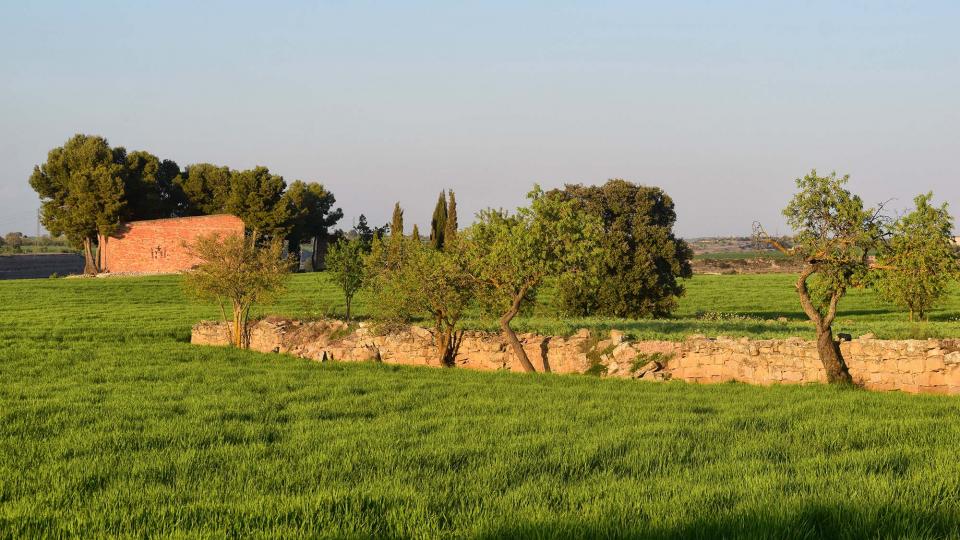 24.3.2019 Paisatge  Tordera -  Ramon Sunyer