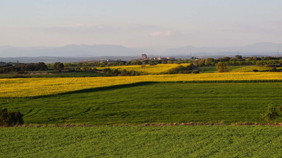 24.3.2019 Paisatge  Tordera -  Ramon Sunyer