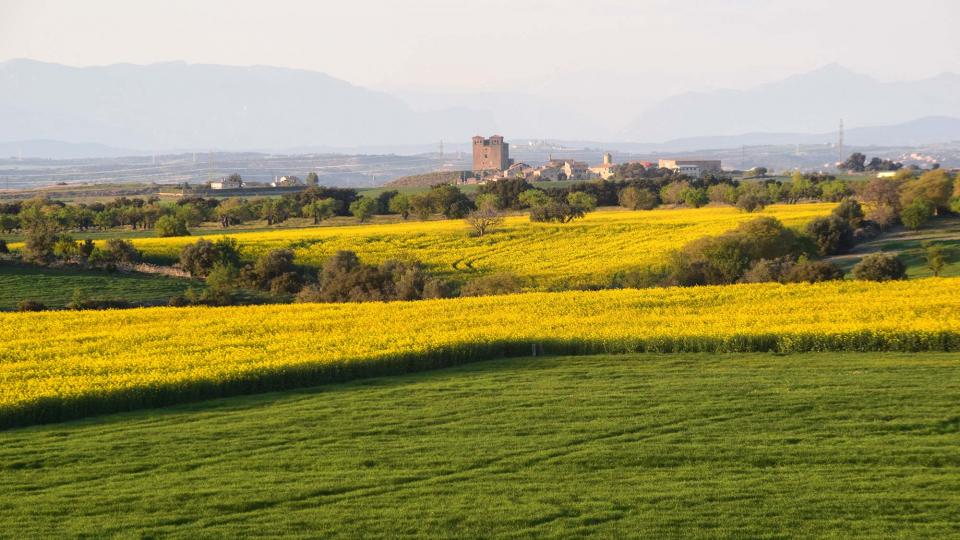 24.3.2019 Paisatge  Tordera -  Ramon Sunyer