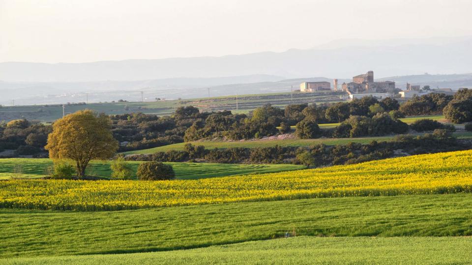 24.3.2019 Paisatge  Tordera -  Ramon Sunyer