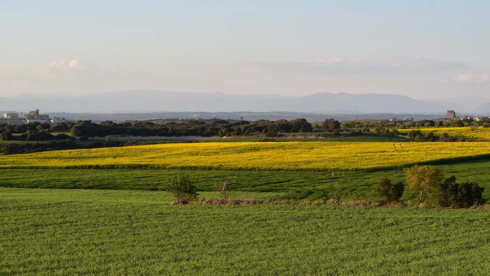 24 de Març de 2019 Paisatge  Tordera -  Ramon Sunyer