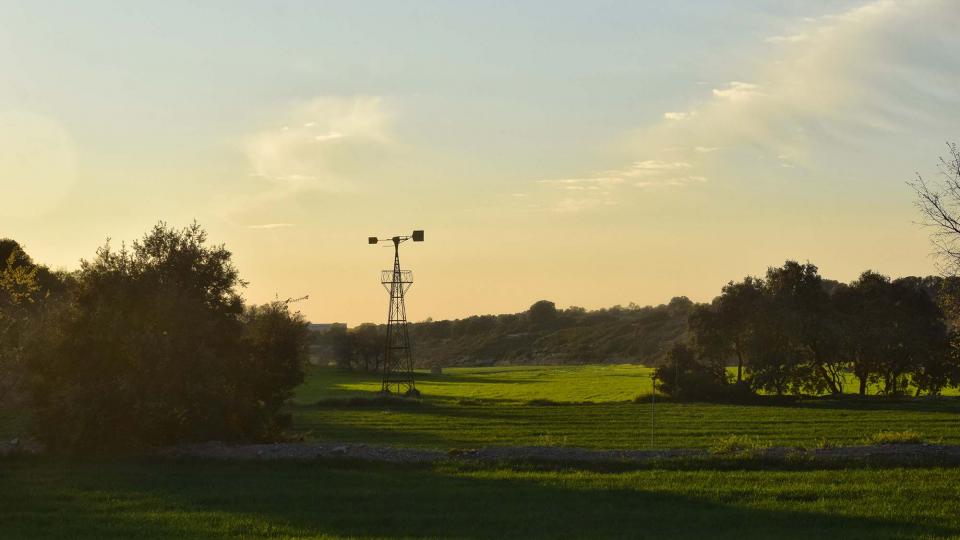 24.3.2019 Paisatge  El Canós -  Ramon Sunyer