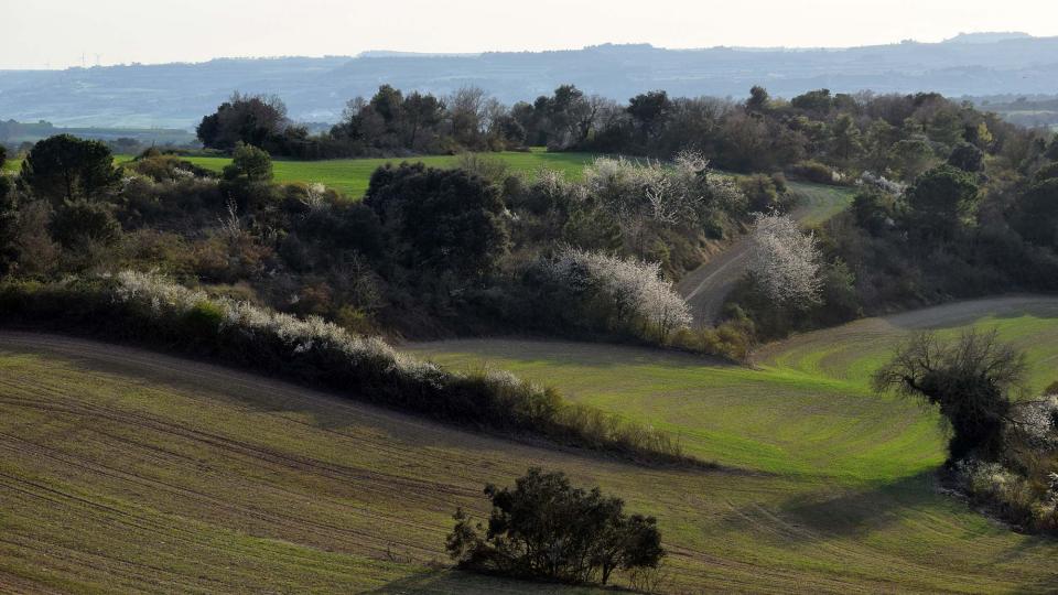 23.3.2019 Paisatge  La Tallada -  Ramon Sunyer