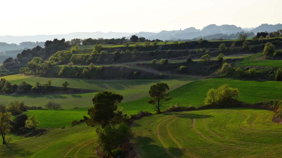 23.3.2019 Paisatge  La Tallada -  Ramon Sunyer