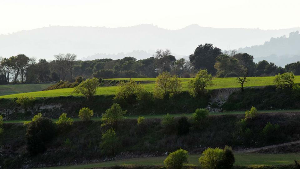 23.3.2019 Paisatge  La Tallada -  Ramon Sunyer