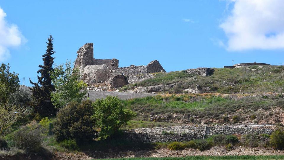 7.4.2019 Castell  Alta-riba -  Ramon Sunyer