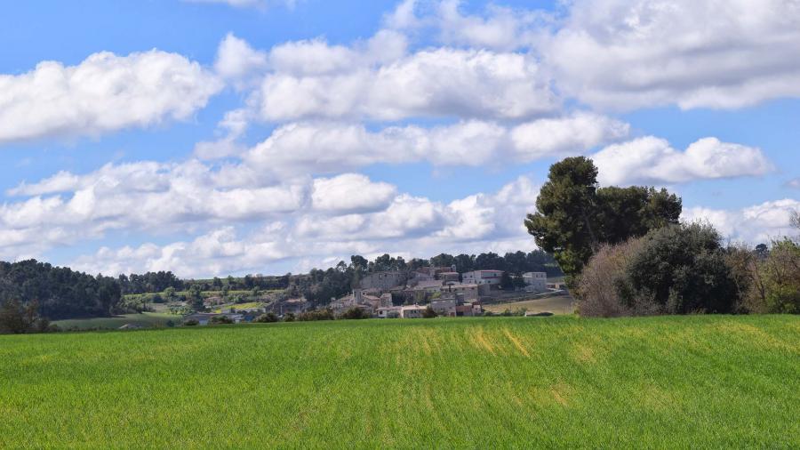 Ruta de senderismo de Montpalau - Montlleó - Palamós - La Rabassa - Montpalau - Autor Ramon Sunyer (2019)