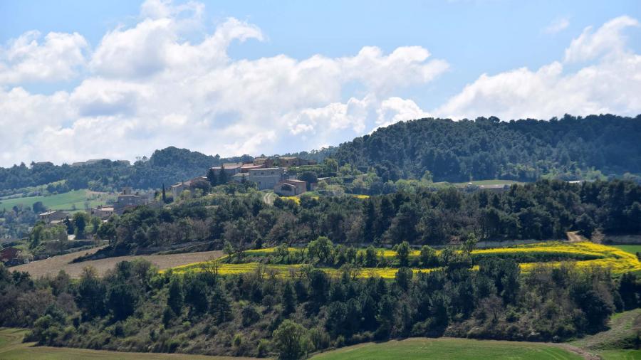 Ruta de senderismo de Montpalau - Montlleó - Palamós - La Rabassa - Montpalau - Autor Ramon Sunyer (2019)