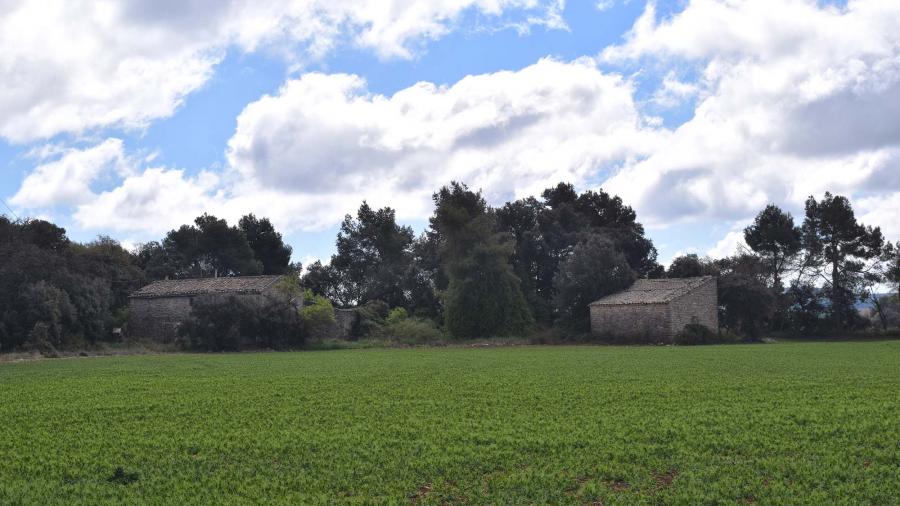 Ruta de senderismo de Montpalau - Montlleó - Palamós - La Rabassa - Montpalau - Autor Ramon Sunyer (2019)