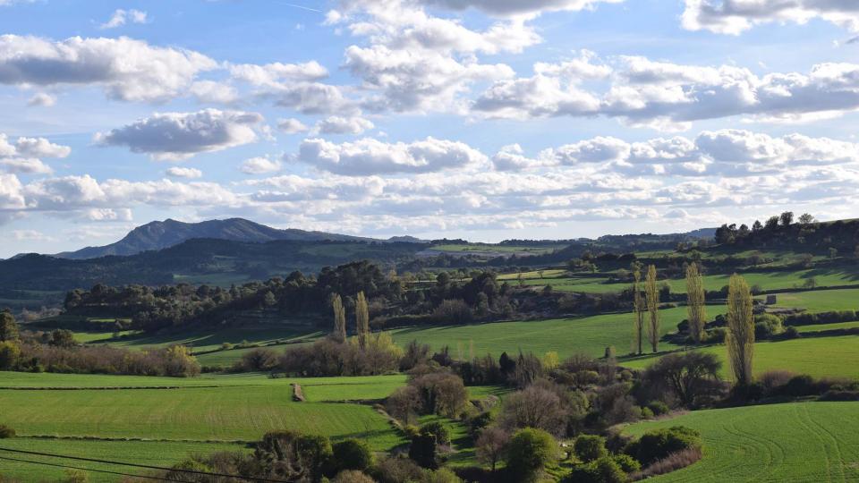 27.4.2019 Paisatge al Gaià  Santa Coloma de Queralt -  Ramon Sunyer