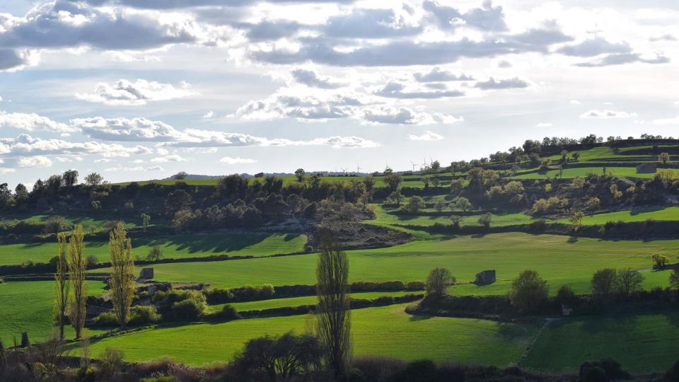 27.4.2019 Paisatge al Gaià  Santa Coloma de Queralt -  Ramon Sunyer