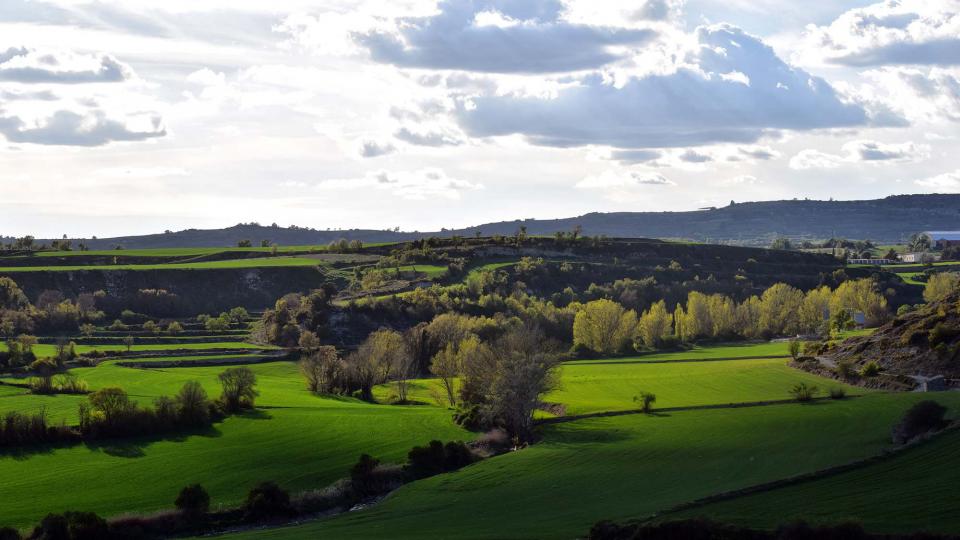 27.4.2019 Paisatge al Gaià  Santa Coloma de Queralt -  Ramon Sunyer