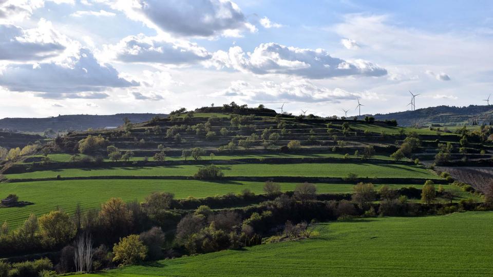 27.4.2019 Paisatge al Gaià  Santa Coloma de Queralt -  Ramon Sunyer