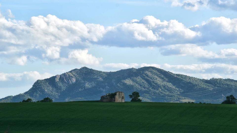 27.4.2019 Paisatge  Santa Coloma de Queralt -  Ramon Sunyer