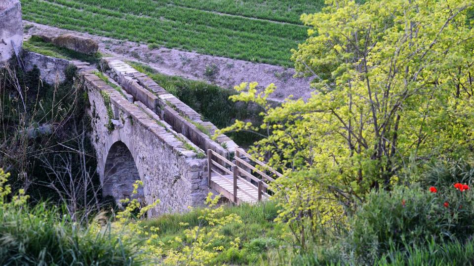 27.4.2019 Aqüeducte  Santa Coloma de Queralt -  Ramon Sunyer