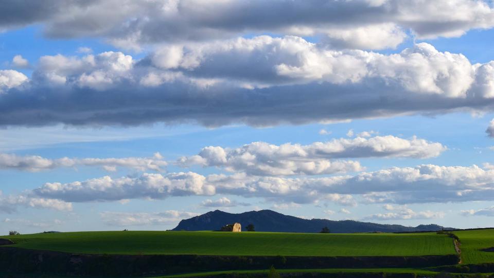 27.4.2019 Paisatge  Santa Coloma de Queralt -  Ramon Sunyer