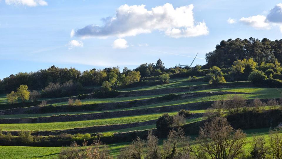 27.4.2019 Paisatge  Llorac -  Ramon Sunyer