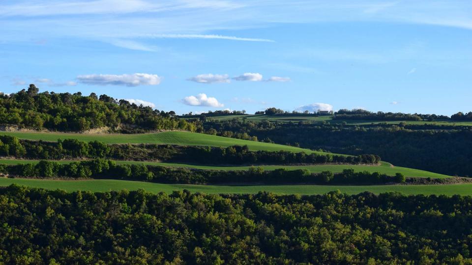 27 de Abril de 2019 Les Obagues del Corb  L'Albió -  Ramon Sunyer