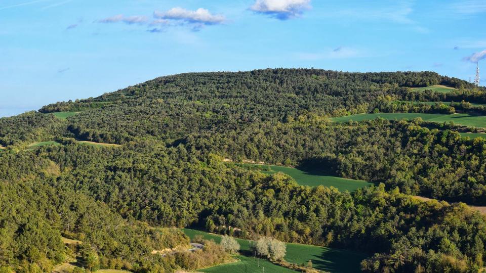 27.4.2019 Les Obagues del Corb  L'Albió -  Ramon Sunyer