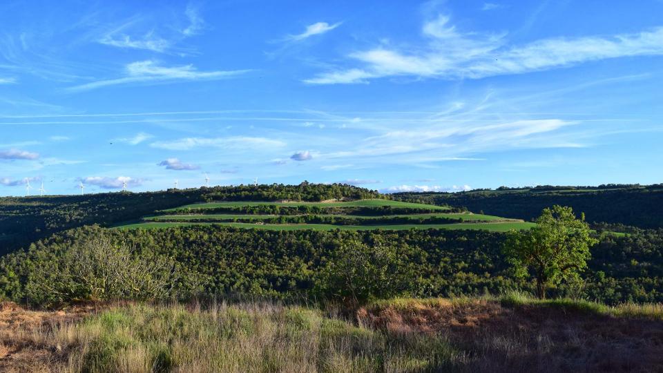 27.4.2019 Les Obagues del Corb  L'Albió -  Ramon Sunyer